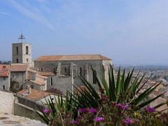 183 HYERES ET SES PALMIERS D02_000014